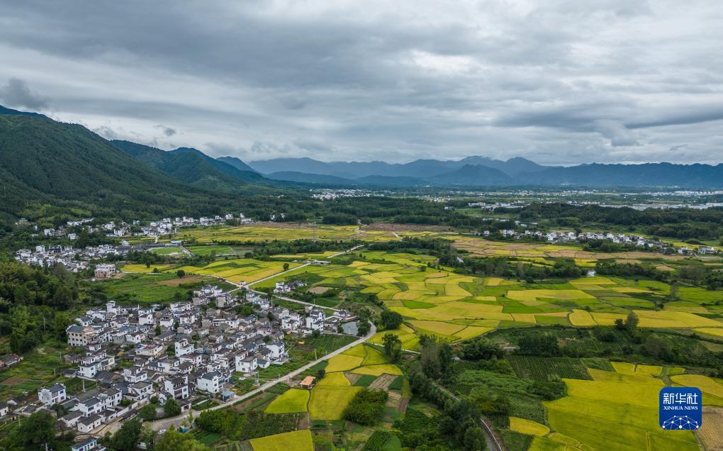 318全讯注册送38